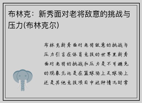 布林克：新秀面对老将敌意的挑战与压力(布林克尔)