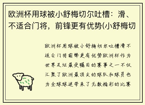 欧洲杯用球被小舒梅切尔吐槽：滑、不适合门将，前锋更有优势(小舒梅切尔转会)