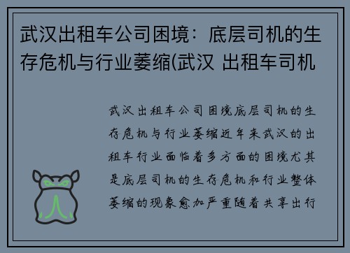 武汉出租车公司困境：底层司机的生存危机与行业萎缩(武汉 出租车司机)