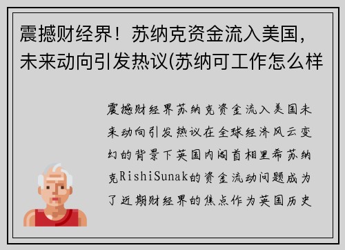 震撼财经界！苏纳克资金流入美国，未来动向引发热议(苏纳可工作怎么样)