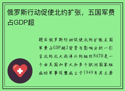 俄罗斯行动促使北约扩张，五国军费占GDP超